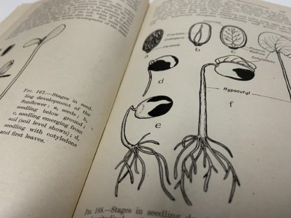 Biology for medical students