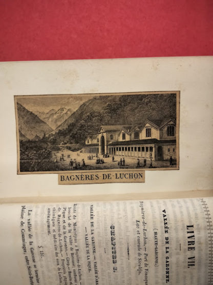 Bagneres de Bigorre. Sous le rapport medical et topographique et les autres principaux etablissemens thermaux des Pyrenees, avec une carte et des gravures.